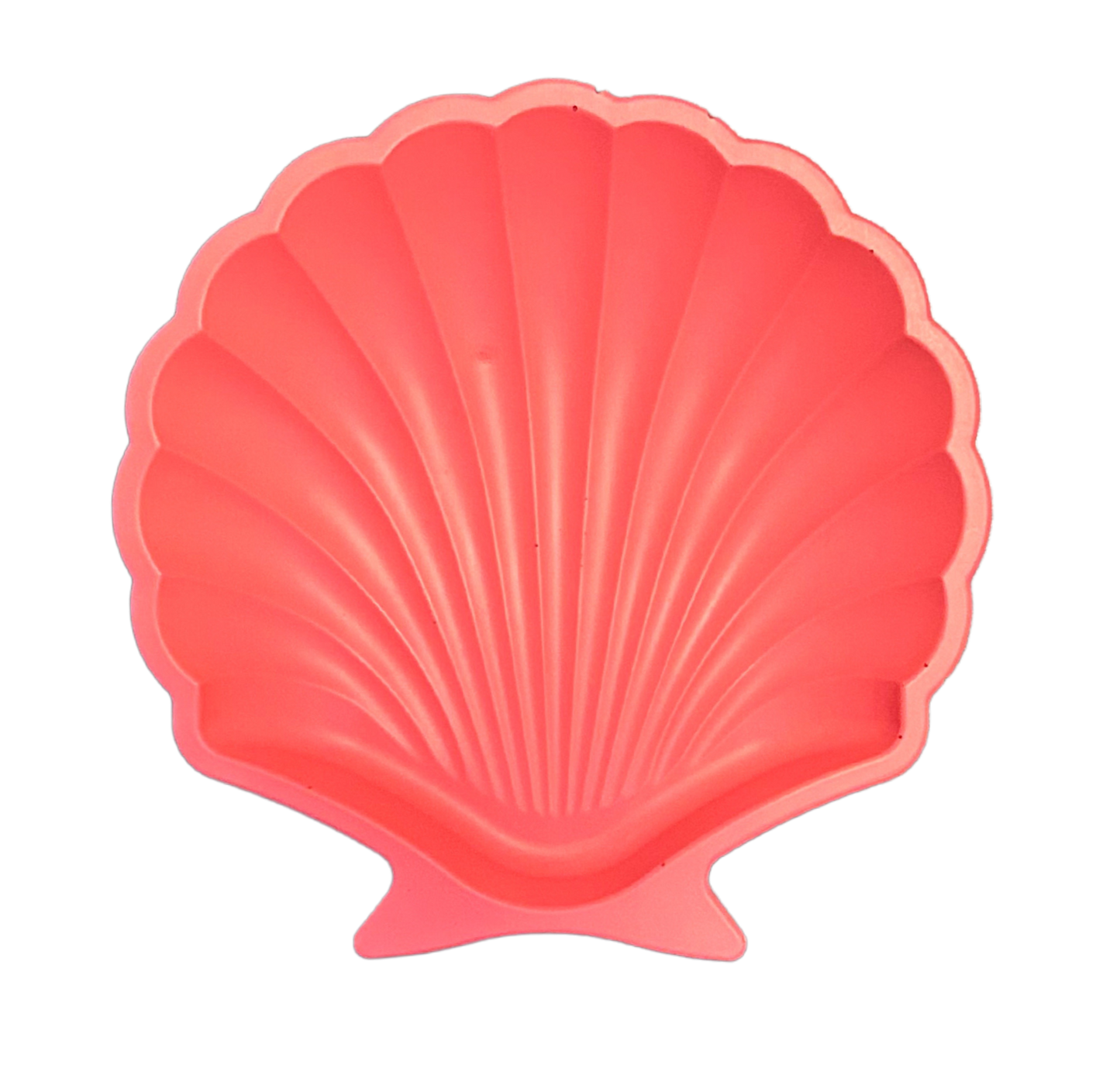 Shell Trinket Dish